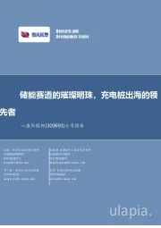 公司报告:储能赛道的璀璨明珠,充电桩出海的领先者
