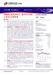 碳酸锂二期全面达产,量价齐升助锂云母龙头业绩高增