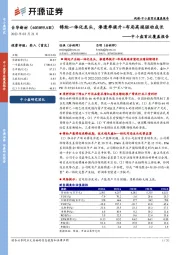 中小盘首次覆盖报告：锦纶一体化龙头，渗透率提升+布局高端驱动成长