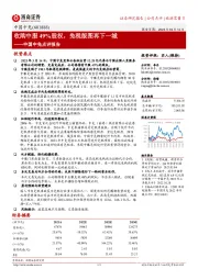 中国中免点评报告：收购中服49%股权，免税版图再下一城