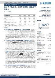 2022年年报点评：业绩符合预期，储能数字化发力