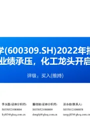 2022年报点评:量价下滑致业绩承压,化工龙头开启新一轮成长