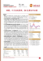 锂膜、叶片表现亮眼，Q4支撑全年业绩