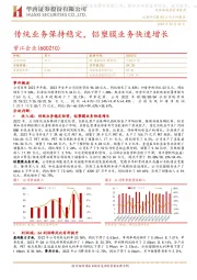 传统业务保持稳定,铝塑膜业务快速增长