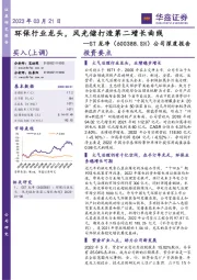 公司深度报告:环保行业龙头,风光储打造第二增长曲线
