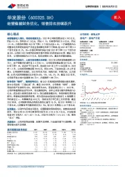 经营稳健财务优化，销售排名持续跃升