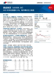 2022年净利润增长57%，海外需求压力渐显