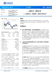 2022年报点评:业绩承压,静待改善