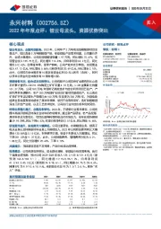 2022年年报点评：锂云母龙头，资源优势突出