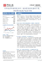 万华化学年报深度点评:成本需求承压盈利下滑,新材料加速投产成长可期