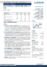 2022年年报点评：业绩符合预期，静待23年改善