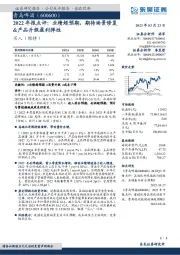 2022年报点评：业绩超预期，期待场景修复&产品升级盈利弹性