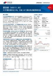 22年营收增长近20%，光储IGBT模块将成重要增长极