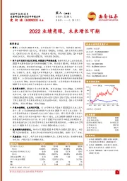 2022业绩亮眼，未来增长可期