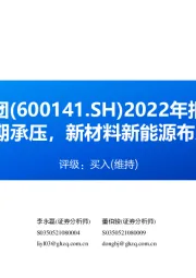 2022年报点评：Q4业绩短期承压，新材料新能源布局逐渐打开