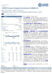 2022年盈利承压，2023年稳中求进