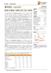 盈利能力大幅改善，“新能源+出海”打造二三增长极