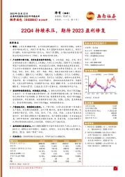 22Q4持续承压，期待2023盈利修复