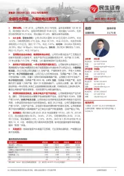 2022年年报点评:业绩符合预期,六氟钠电比翼双飞