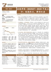 2022年报点评:短期承压,静待改善