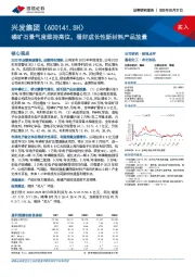 磷矿石景气度维持高位,看好成长性新材料产品放量