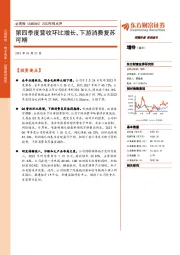 2022年报点评:第四季度营收环比增长,下游消费复苏可期