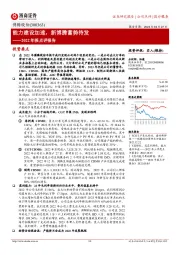 2022年报点评报告：能力建设加速，新博腾蓄势待发