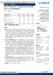 2022年年报点评：行业底部凸显龙头优势，1600吨大窑炉蓄势待发