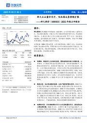 2022年报点评报告：两大主业量价齐升，电池箔业务持续扩展