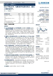 2022年报点评：电解液单吨盈利承压，氟化工维持高景气