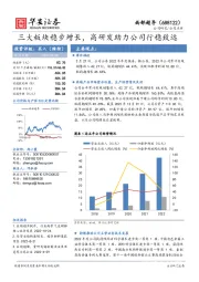 三大板块稳步增长，高研发助力公司行稳致远