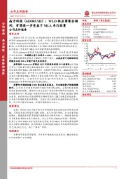 WLO供应商整合顺利,有望进一步受益于MLA车灯放量