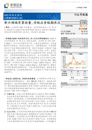 新兴领域有望放量,传统业务短期承压