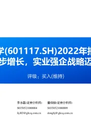 2022年报点评:经营业绩稳步增长,实业强企战略迈开坚实步伐