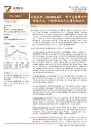 新产品放量对冲价格冲击，产能释放在即支撑长期成长