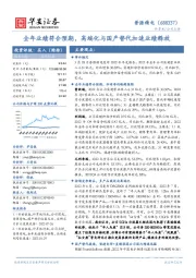 全年业绩符合预期,高端化与国产替代加速业绩释放