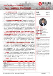 2022年年报深度点评:“三步走”一阶段圆满收官,多元化矿种齐头并进