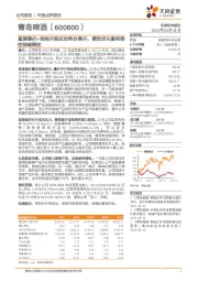 直接提价+结构升级拉动吨价提升,费效优化盈利弹性持续释放