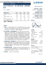 2022年年报点评:硅片盈利坚挺,结构持续优化