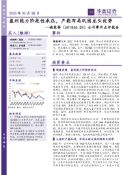 公司事件点评报告:盈利能力阶段性承压,产能布局巩固龙头优势