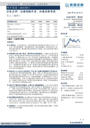 公告点评:出海战略开启,加速全球布局