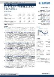 2022年年报点评：下行期彰显龙头竞争力，中期景气有望回升