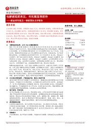 新宙邦年报及一季报预告点评报告：电解液短期承压，有机氟值得期待