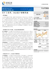 BIP3发布，央企客户持续突破