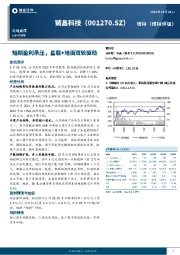 短期盈利承压，星载+地面双轮驱动