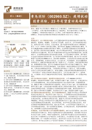 疫情扰动因素消除,23年有望重回高增长