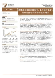 盈利提升显著，看好消费电子/半导体需求增长