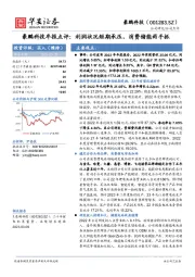 豪鹏科技年报点评：利润状况短期承压，消费储能两手抓