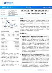 2022年报点评：业绩正向周期，领军中国新能源汽车势起向上