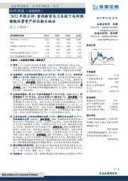 2022年报点评：重视新型电力系统下电网侧储能运营资产的压舱石地位